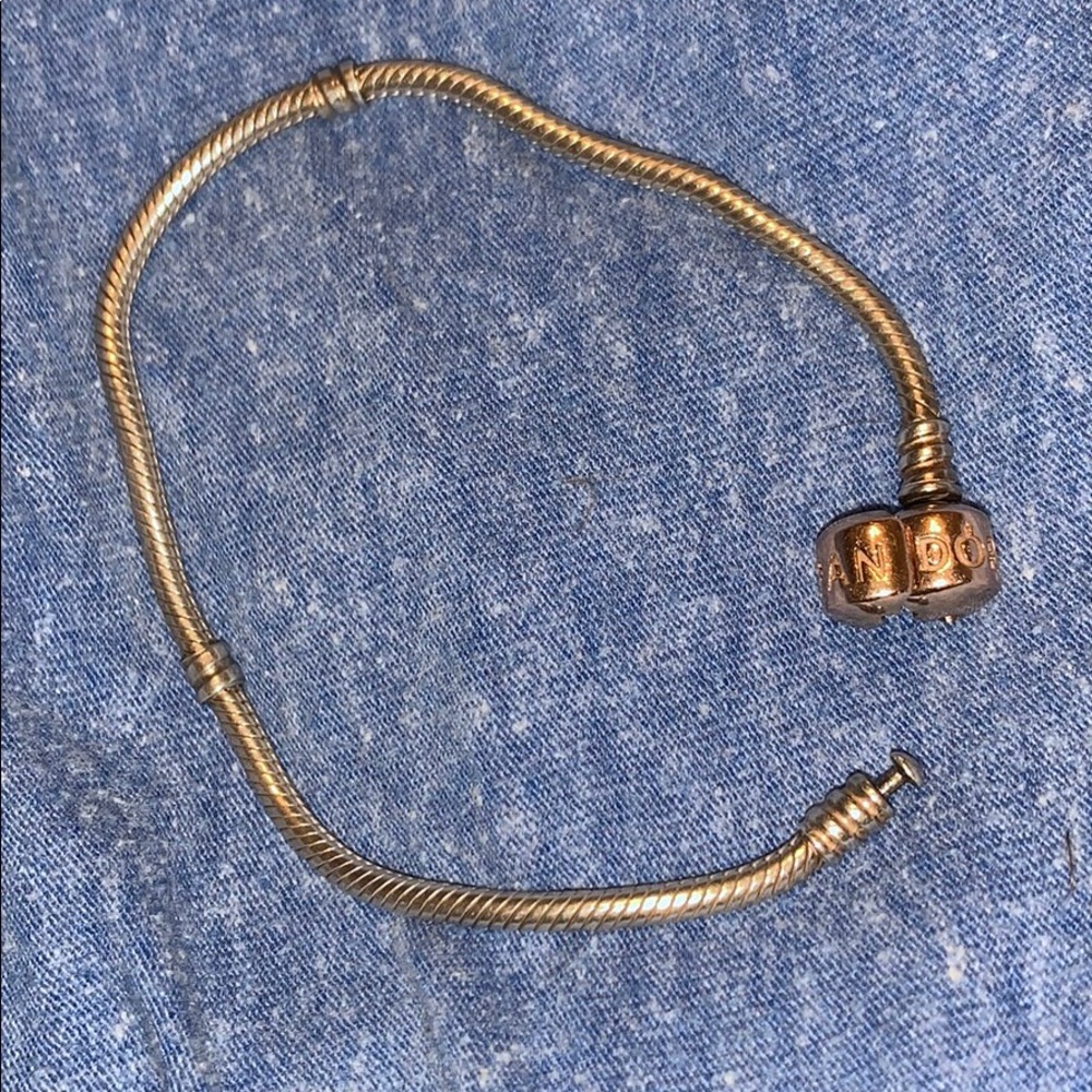 Pandora Bracelet